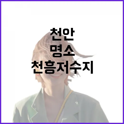 천안 천흥저수지, 고요한 여름 피서 명소
