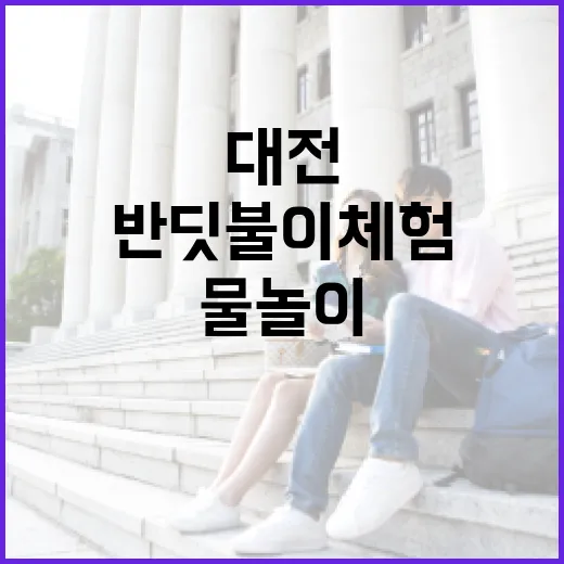 대전 여름철 물놀이·반딧불이 체험 소식