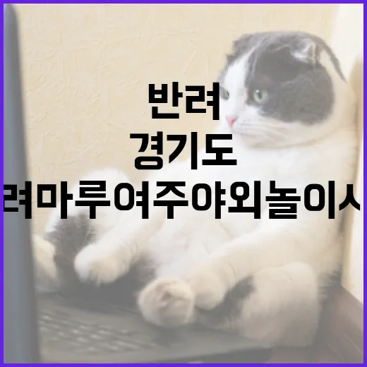 경기도 반려마루 여주 야외 놀이시설 임시 개장