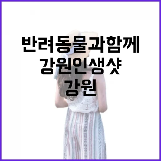 반려동물과 함께하는 강원 인생샷 캠페인