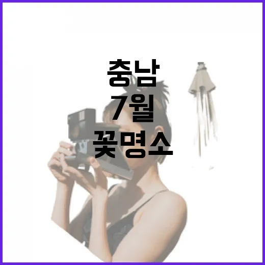7월 충남 여름꽃 명소 총정리