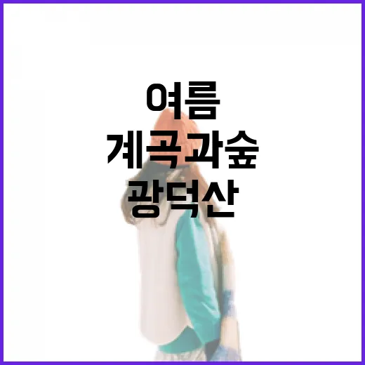 광덕산 여름 산행, 계곡과 숲의 힐링 코스