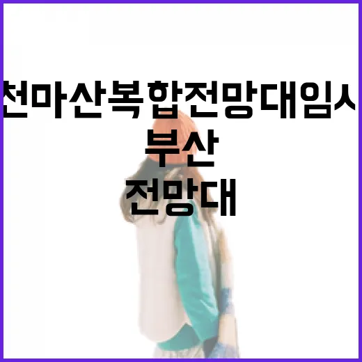 부산 천마산 복합전망대 임시개관 현장