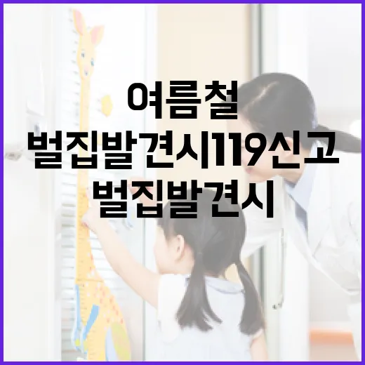 여름철 벌집 발견 시 119 신고법
