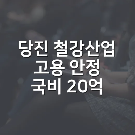 당진 철강산업 고용 안정 국비 20억 확보