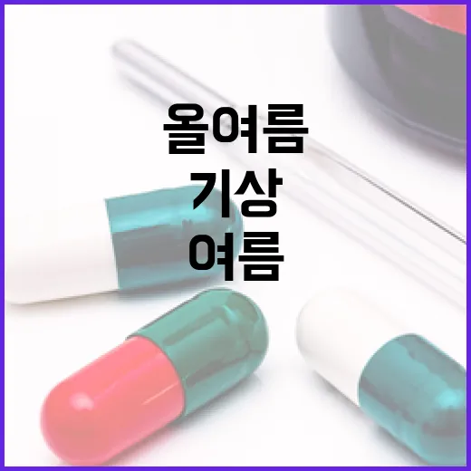 올여름부터 강화된 방재기상서비스