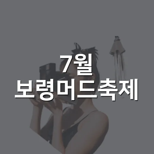 7월 보령머드축제,…