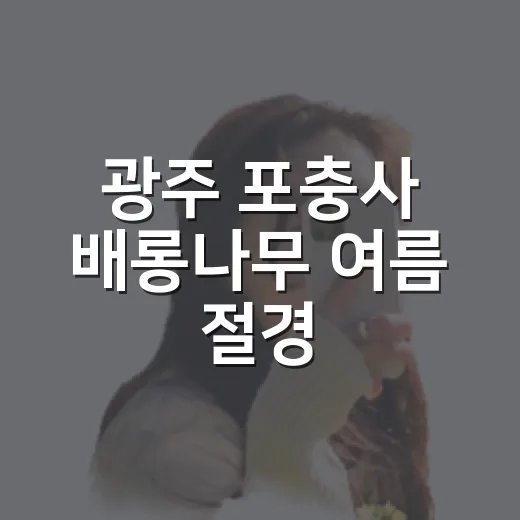 광주 포충사 배롱나무 여름 절경