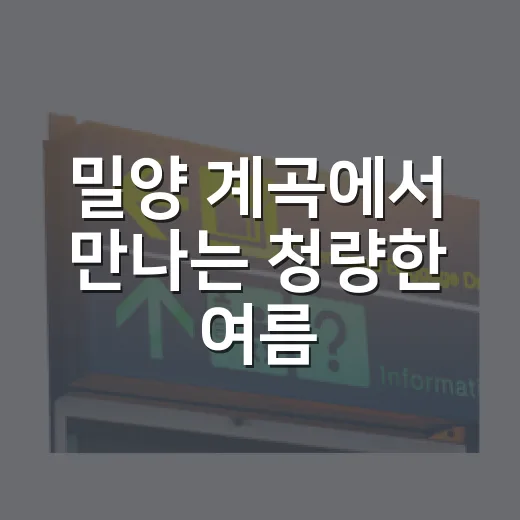 밀양 계곡에서 만나는 청량한 여름