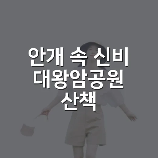 안개 속 신비 대왕암공원 산책
