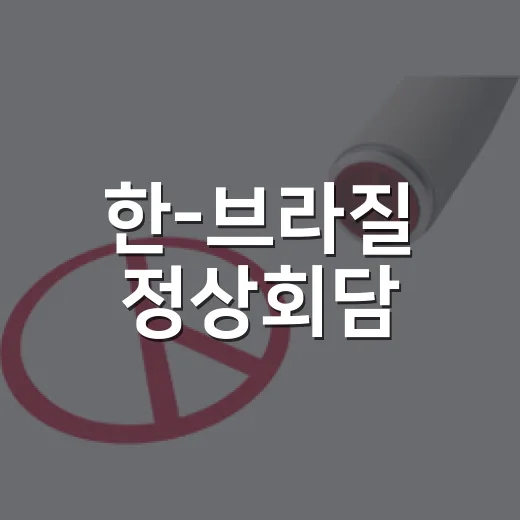 한-브라질 정상회담, 전략적 동반자 관계 출범