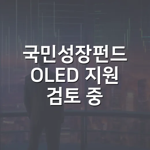 국민성장펀드 OLED 지원 검토 중
