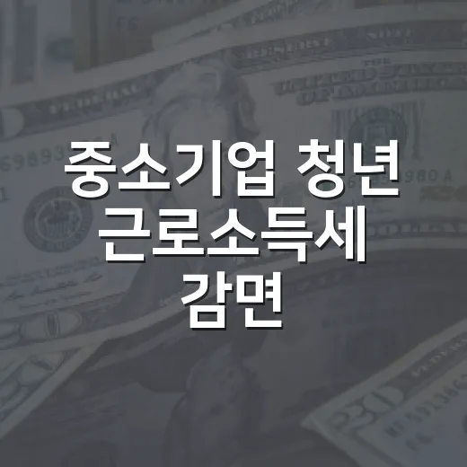 중소기업 청년 근로소득세 감면, 지방 우대 내용 미확정