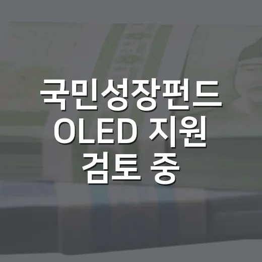 국민성장펀드 OLED 지원 검토 중