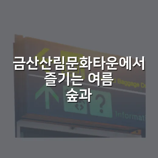 금산산림문화타운에서 즐기는 여름 숲과 계곡
