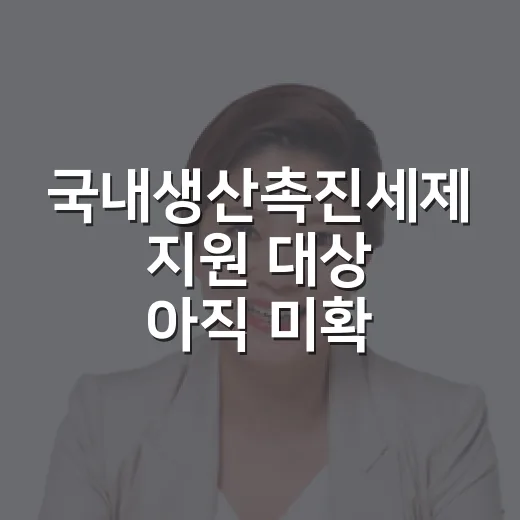 국내생산촉진세제 지원 대상 아직 미확정