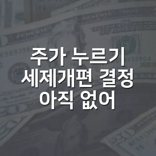 주가 누르기 세제개편 결정 아직 없어