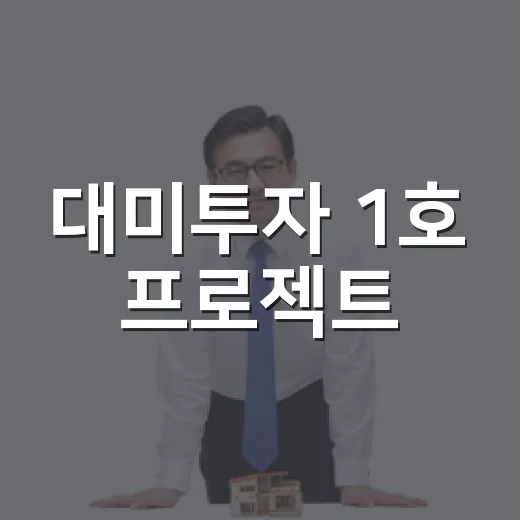 대미투자 1호 프로젝트, 구체 내용 미정