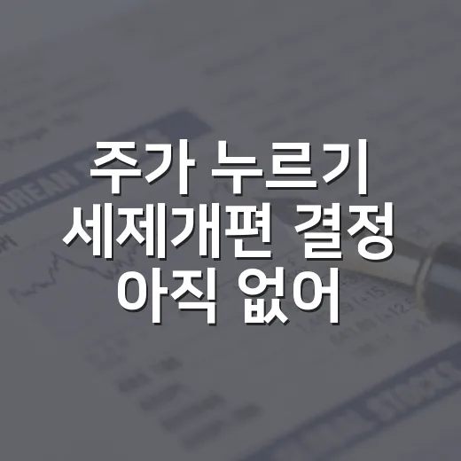 주가 누르기 세제개편 결정 아직 없어