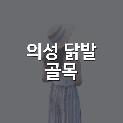 의성 닭발 골목, 40년 전통 불향 가득한 명소