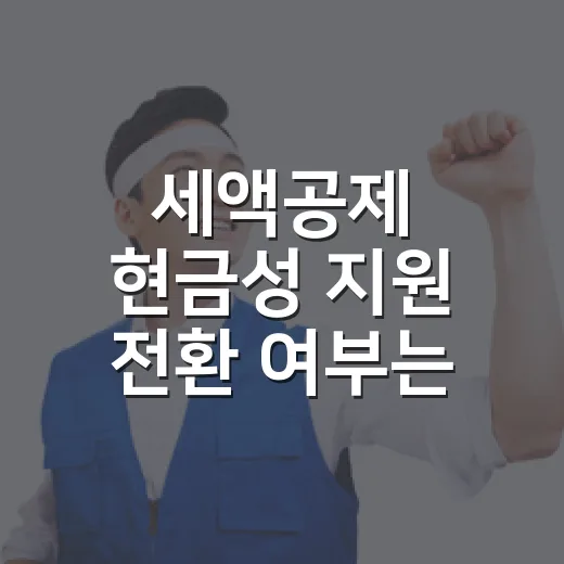 세액공제 현금성 지원 전환 여부는 미정