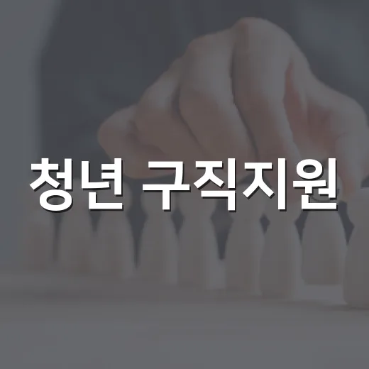 청년 구직지원, 17%만 혜택 받았다