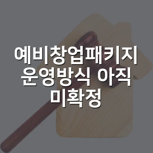 예비창업패키지 운영방식 아직 미확정