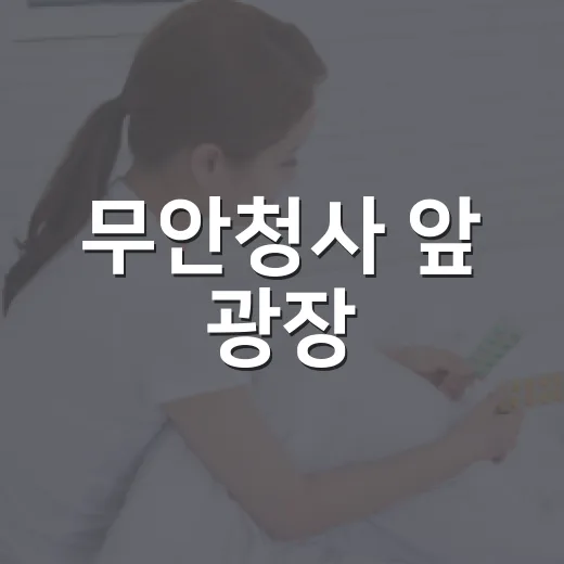 무안청사 앞 광장, 여름 워터파크로 변신