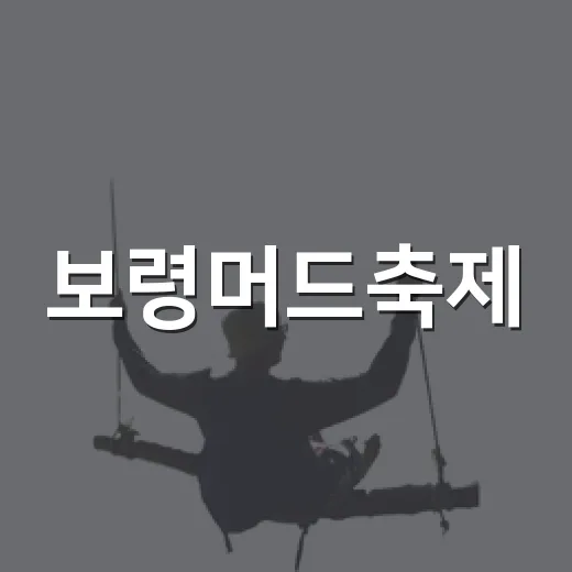 보령머드축제, 여름 피서 명소 완벽 준비