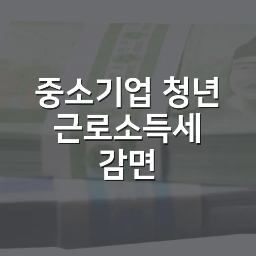 중소기업 청년 근로소득세 감면, 지방 우대 내용 미확정