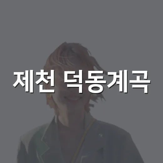 제천 덕동계곡, 자연의 청량함 속으로