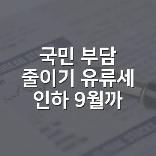 국민 부담 줄이기 유류세 인하 9월까지 연장