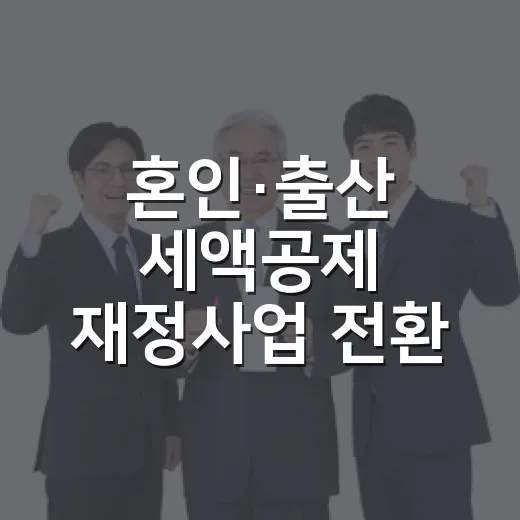 혼인·출산 세액공제 재정사업 전환 구체안 미정