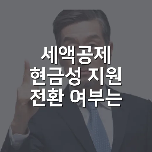 세액공제 현금성 지원 전환 여부는 미정