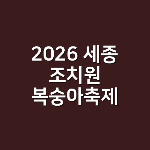 2026 세종 조치원 복숭아축제 물놀이장 현장 리포트