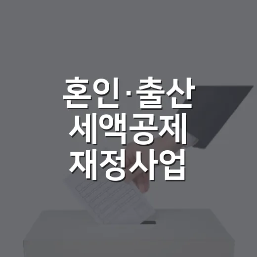 혼인·출산 세액공제 재정사업 전환, 구체안 미정