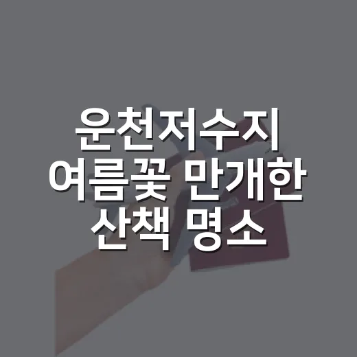 운천저수지 여름꽃 만개한 산책 명소