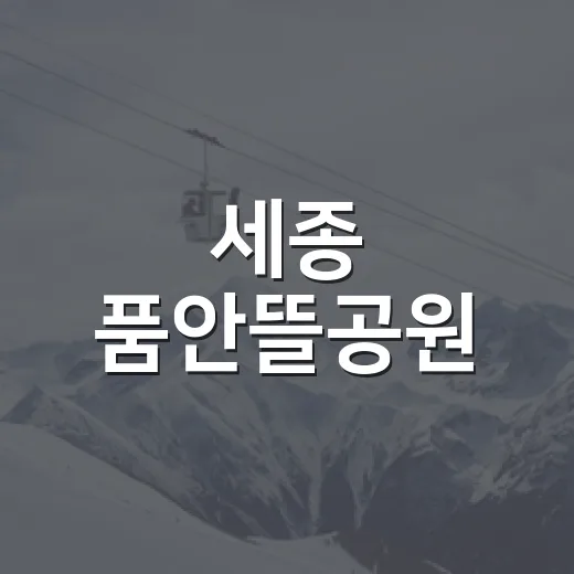 세종 품안뜰공원, 여름밤 건강댄스 열기