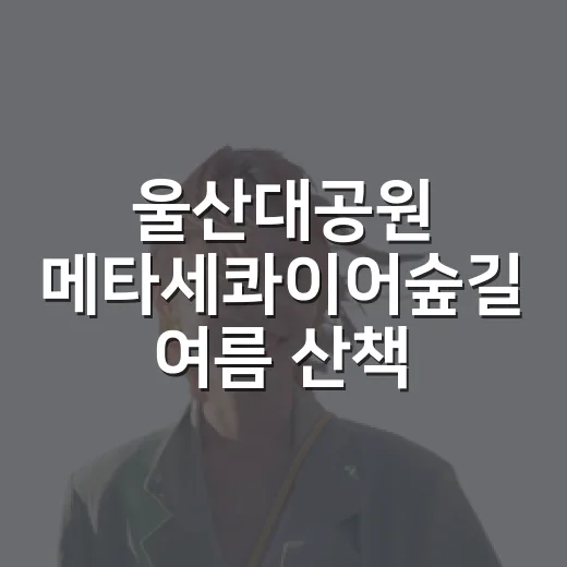울산대공원 메타세콰이어숲길 여름 산책 명소