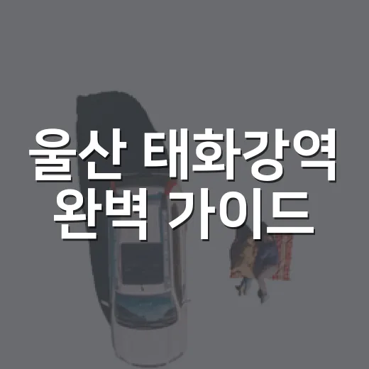울산 태화강역 완벽 가이드