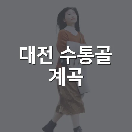 대전 수통골 계곡, 여름철 한시 개방 안내