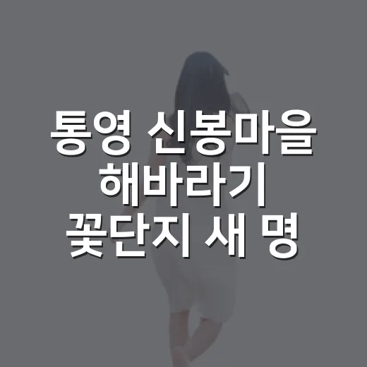 통영 신봉마을 해바라기 꽃단지 새 명소