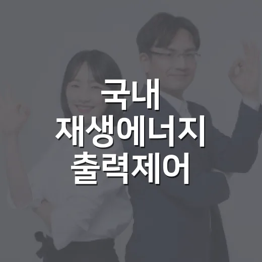 국내 재생에너지 출력제어, 안정적 관리 중
