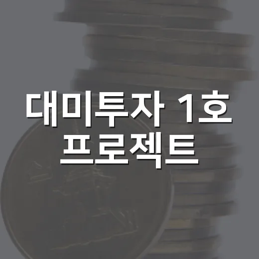 대미투자 1호 프로젝트, 구체 내용 미정
