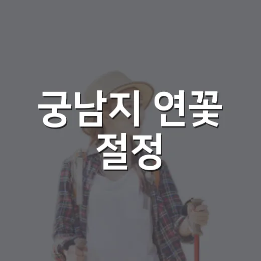 궁남지 연꽃 절정, 놓친 축제 아쉬움 달래다