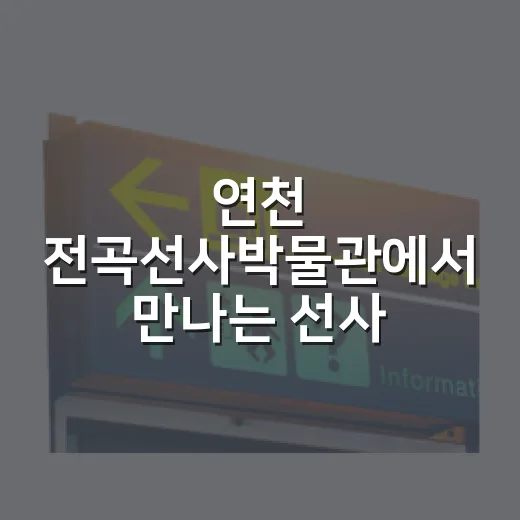연천 전곡선사박물관에서 만나는 선사 문화의 시간
