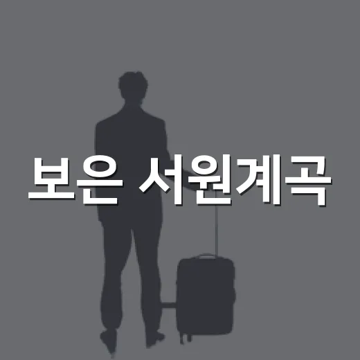 보은 서원계곡, 여름 피서 명소