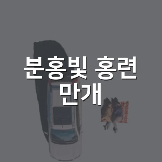 분홍빛 홍련 만개, 나주 우습제 축제 현장