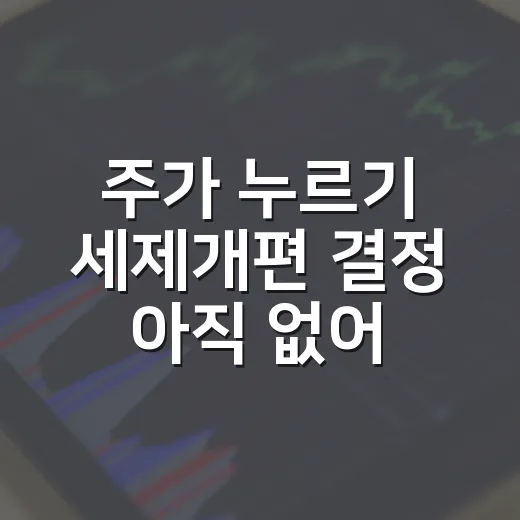 주가 누르기 세제개편 결정 아직 없어