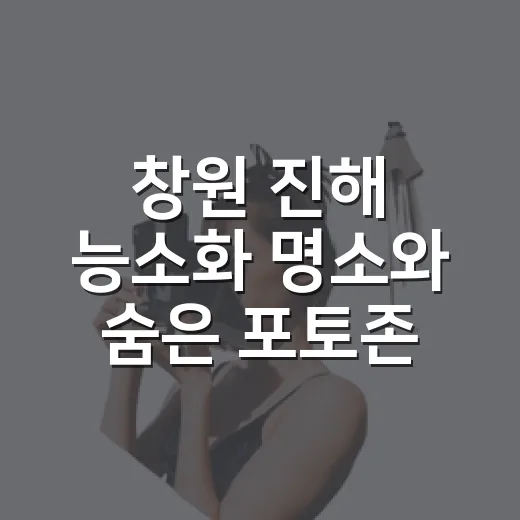 창원 진해 능소화 명소와 숨은 포토존